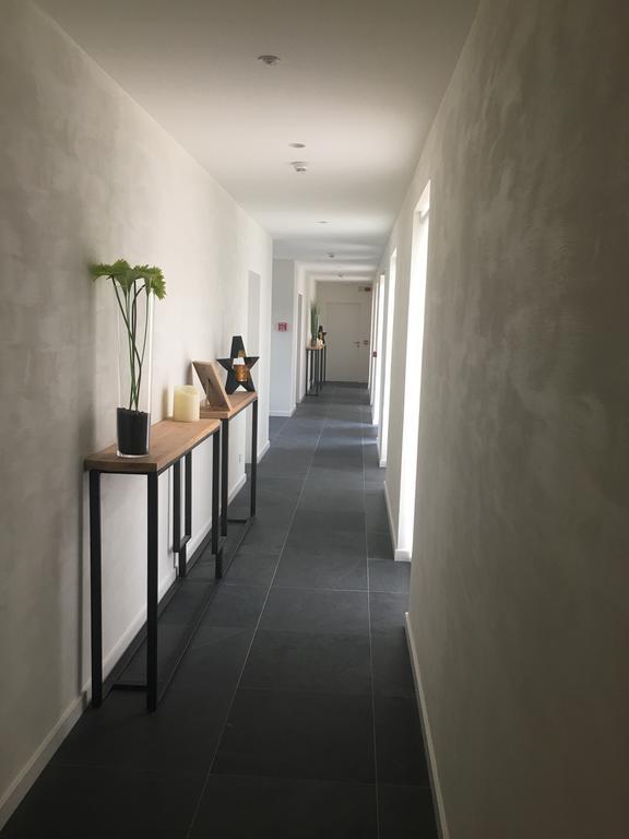 B&B La Douceur De La Miclette Ellezelles Eksteriør bilde